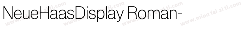 NeueHaasDisplay Roman字体转换